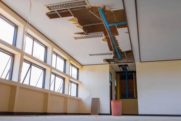 Best Ceiling water damage repair  in Broad Creek, NC