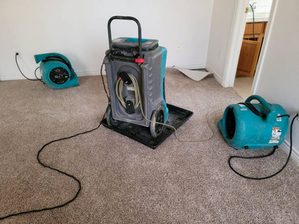 Best Water damage cleanup near me  in Broad Creek, NC
