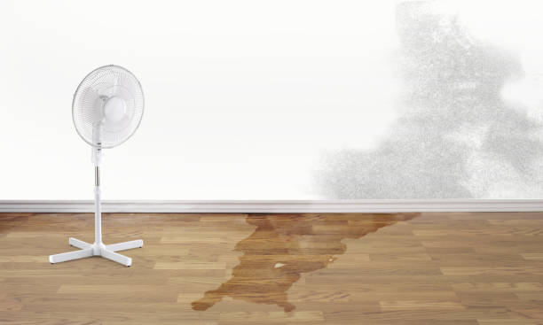 Best Fire Damage Restoration  in Broad Creek, NC