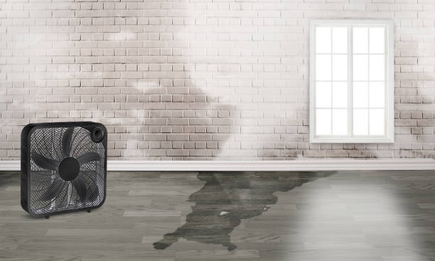 Best Commercial water damage restoration  in Broad Creek, NC