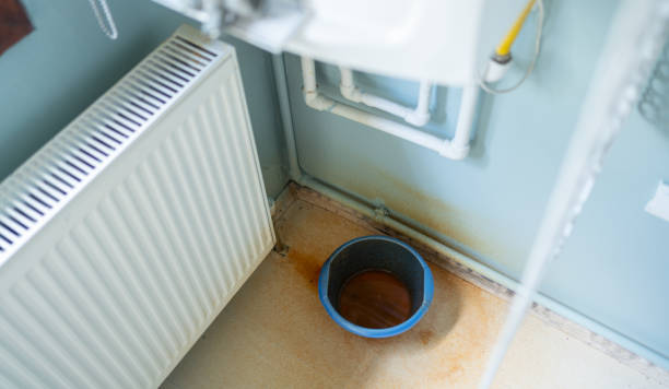 Best Flood damage cleanup  in Broad Creek, NC