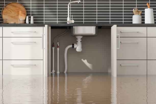 Best Carpet water damage restoration  in Broad Creek, NC