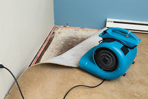 Best Residential water damage restoration  in Broad Creek, NC